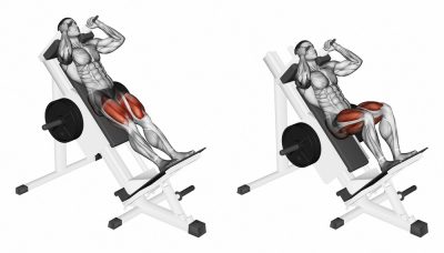 hack squat machine