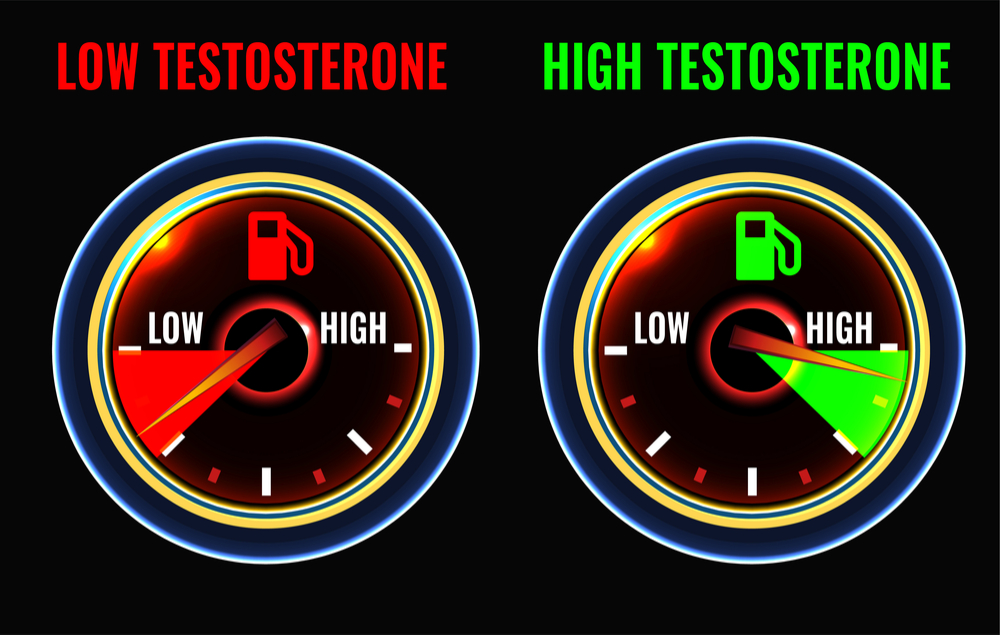 high and low testosterone meters