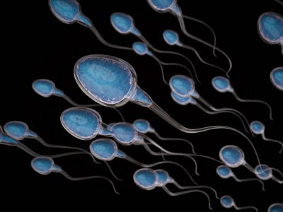 sperm cells swimming