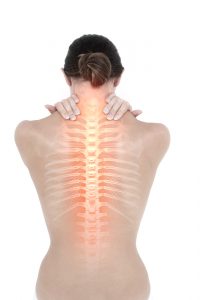 female spine and bone density